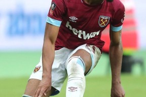 体育k1官网-21个小黄人心理测试